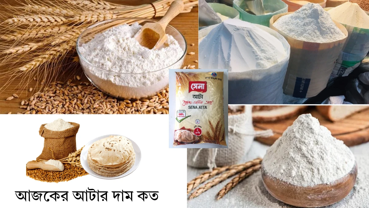 আজকের আটার দাম কত । আটা কত টাকা কেজি