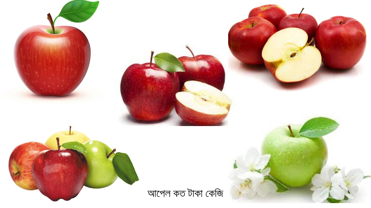 আপেল কত টাকা কেজি