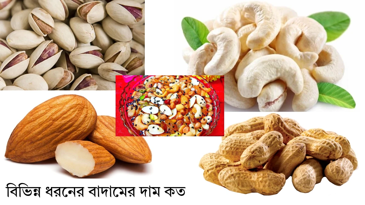 বিভিন্ন ধরনের বাদামের দাম কত । বাদাম কত প্রকার