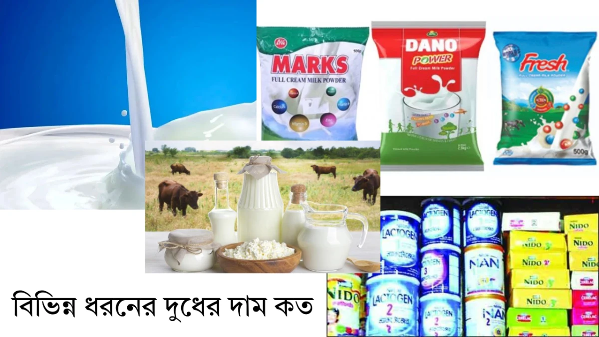 ২২+ বিভিন্ন ধরনের দুধের দাম কত