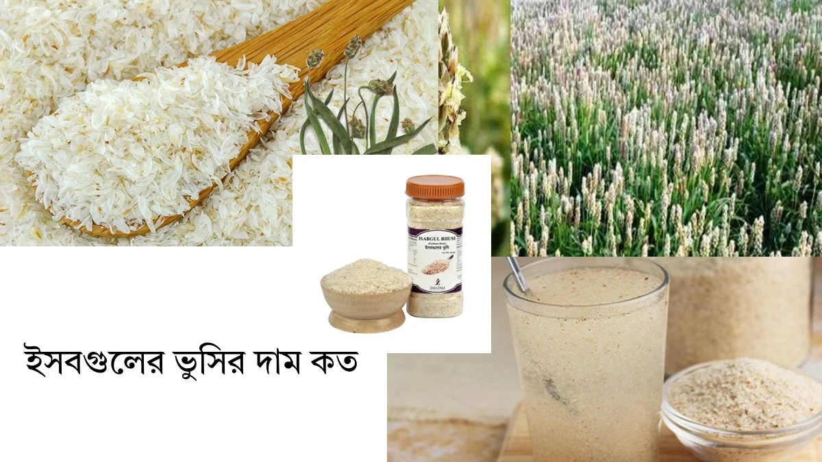 ইসবগুলের ভুসির দাম কত