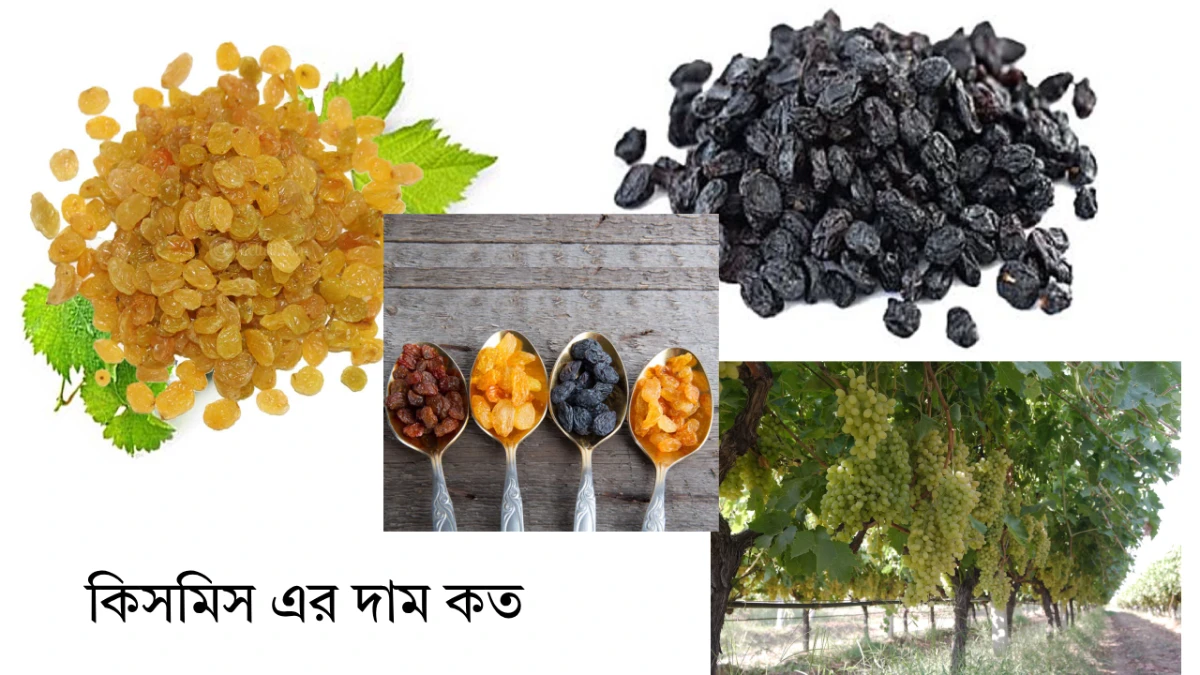 কিসমিস এর দাম কত