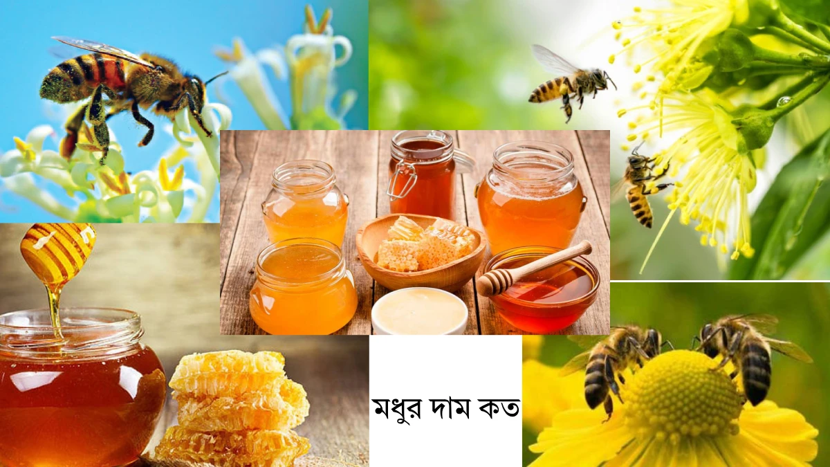 বিভিন্ন ধরনের মধুর দাম কত