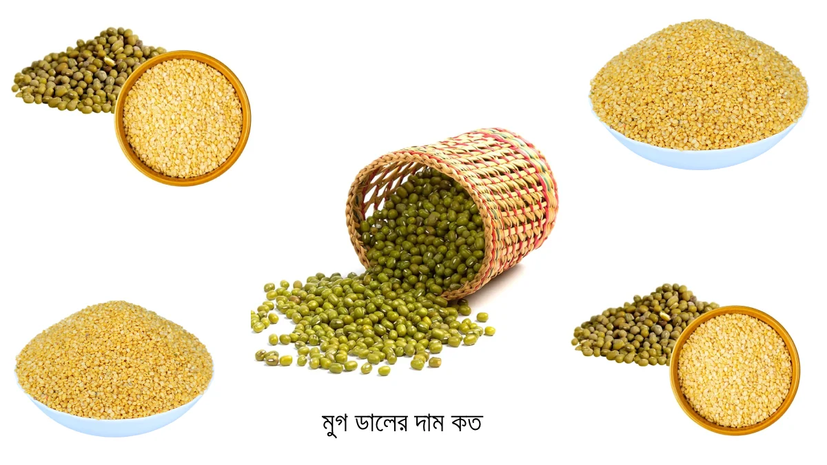 মুগ ডালের দাম কত