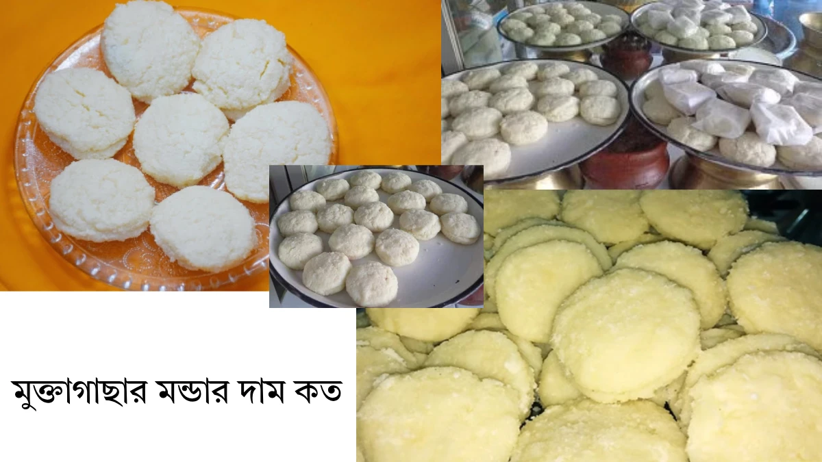 মুক্তাগাছার মন্ডার দাম কত