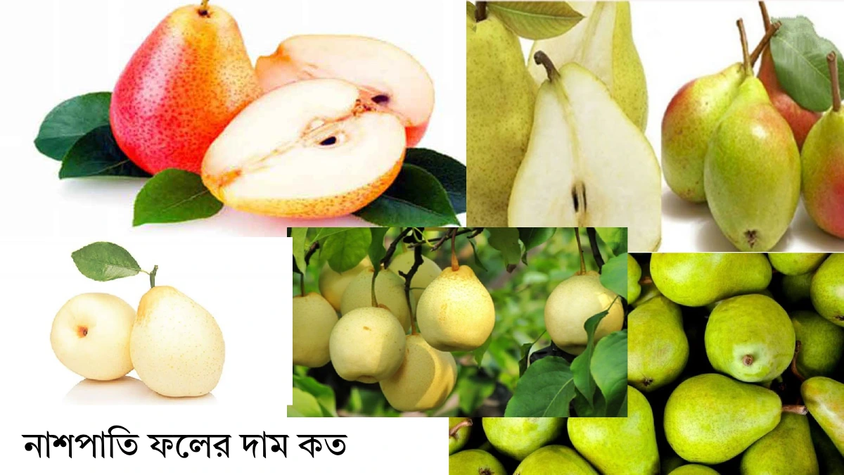 নাশপাতি ফলের দাম কত