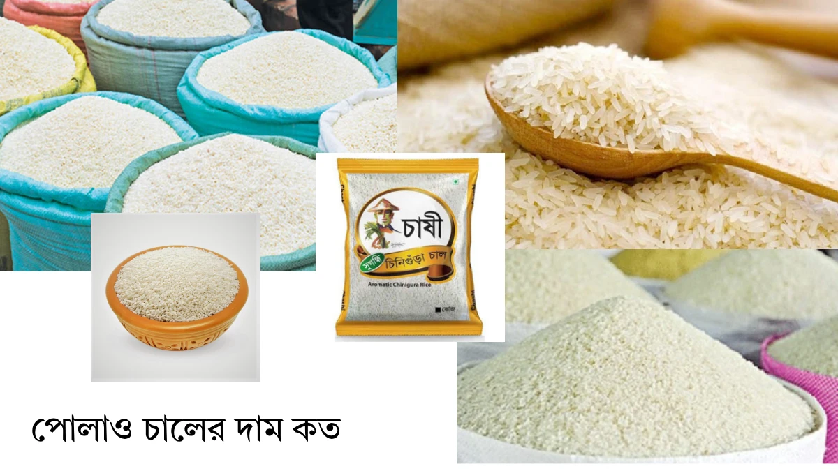 পোলাও চালের দাম কত