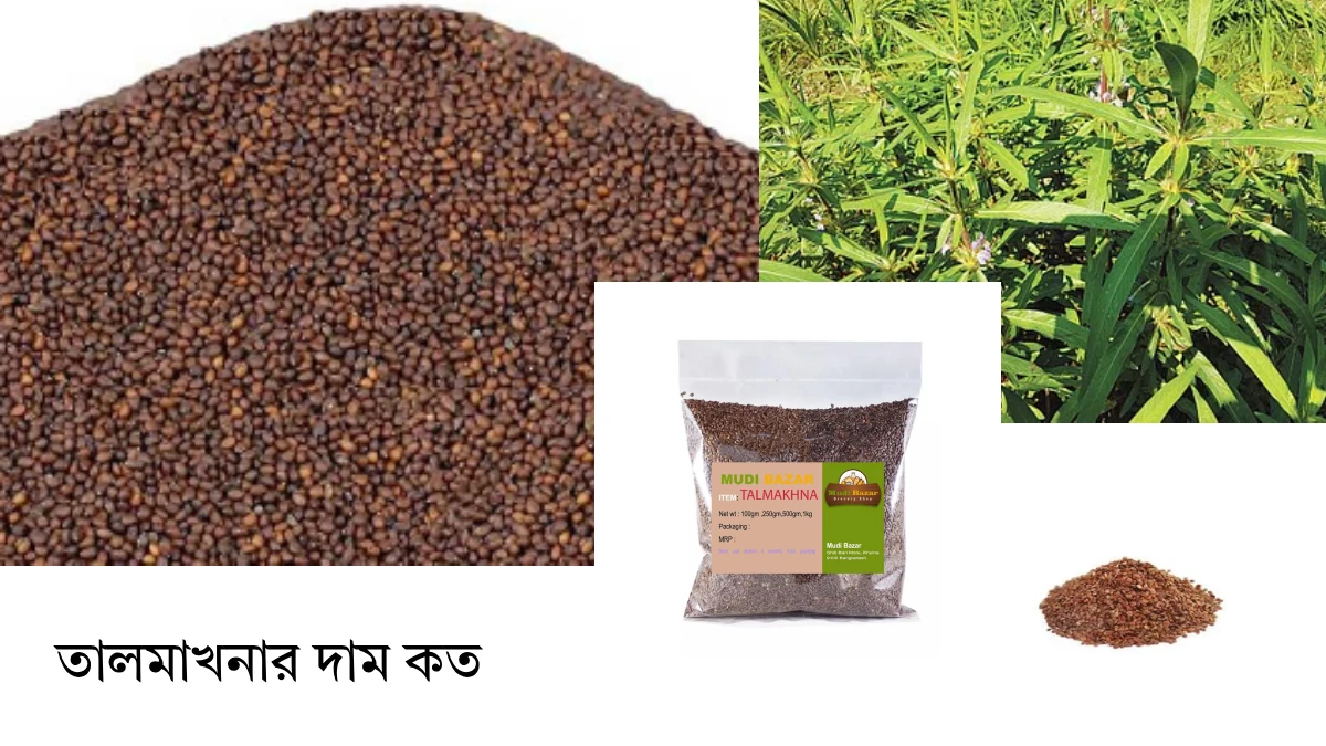 তালমাখনার দাম কত